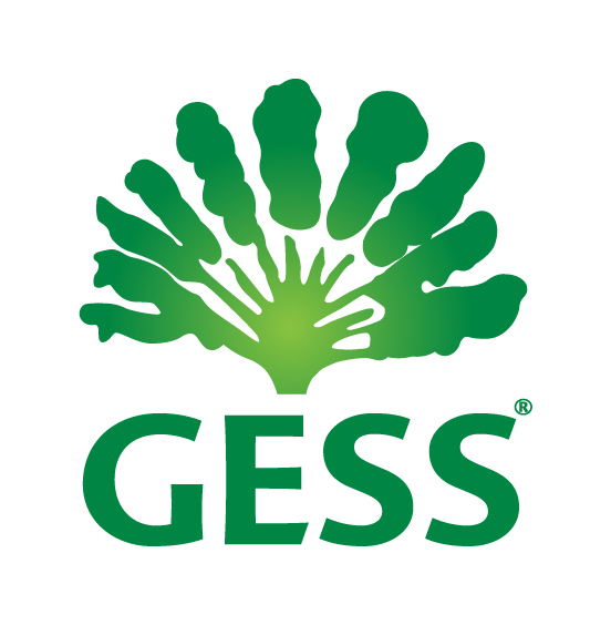 German European School Singapore (GESS) logo