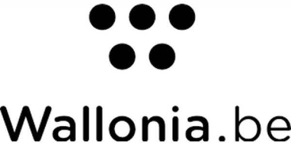 Wallonia Export & Investment Agency (AWEX), c/o Embassy of Belgium logo